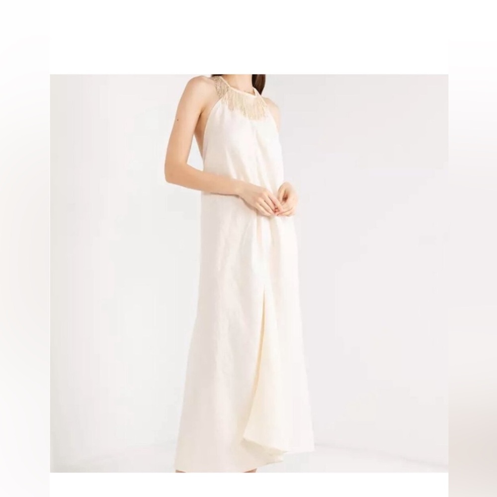 Never worn Zara maxi dress